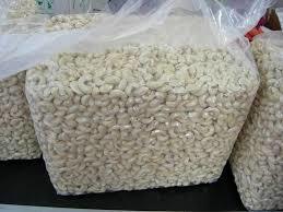 Natural Cashew Nuts W20 and W320