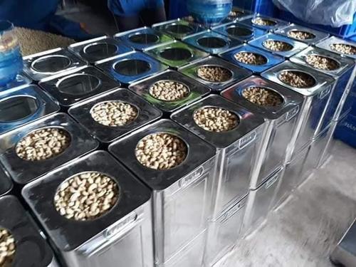 W120,W240 and W320 cashew nuts stock available
