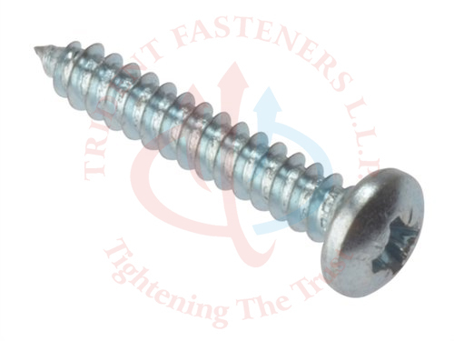Self Tapping Screw