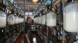 Dairy Equipment Cleanser