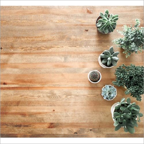 SPC Flooring