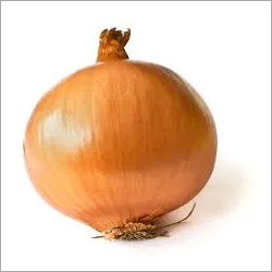 Natural Yellow Onion