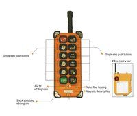 Telecrane Radio Remote Control System