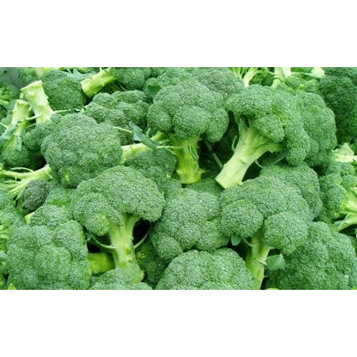 Fresh Broccoli