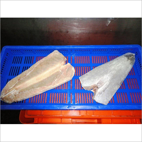 Fresh Tuna Belly at Best Price in Mumbai, Maharashtra Samrajya Fisheries