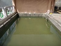 Swimming Pool Waterproofing Services