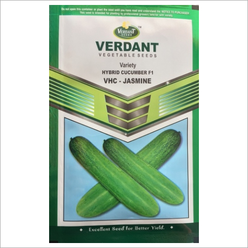 Cucumber Jaimine f-1