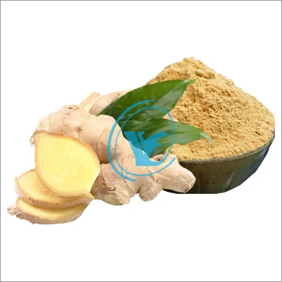 Ginger Dehydrated Powder