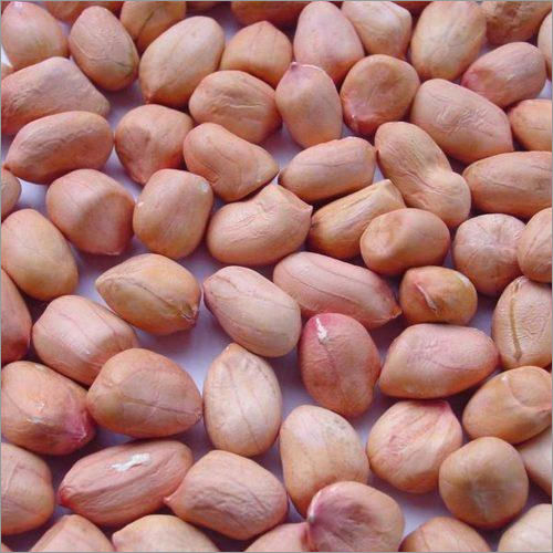 Groundnut Kernel