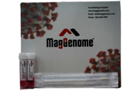 Mag Genome MOLECULAR TRANSPORT MEDIUM
