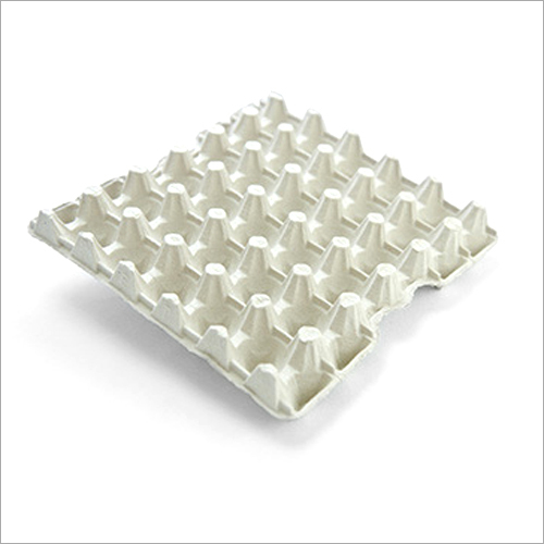 Paper Pulp Egg Tray By MAITY POULTRIES PVT LTD