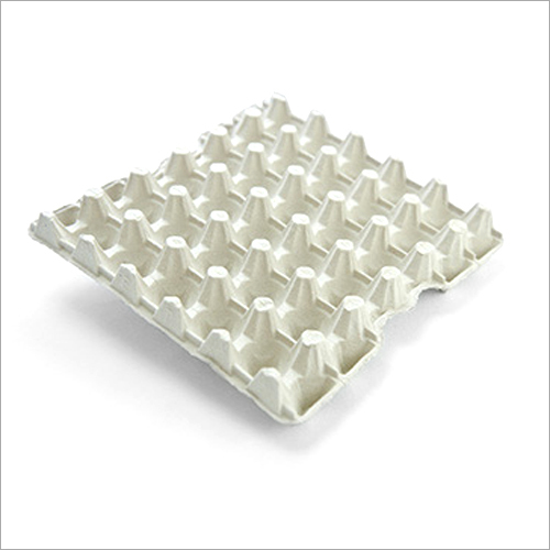 Paper Pulp Egg Tray