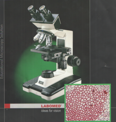 Labomed Microscope Vision 2000