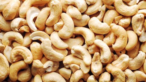 Raw Cashew Nuts W240 & W320