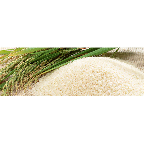 Non Basmati Rice