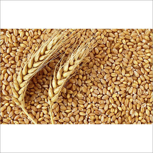 Natural Wheat