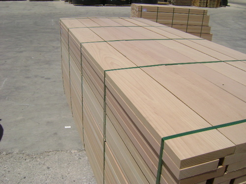 European Beech Domestic Lumber