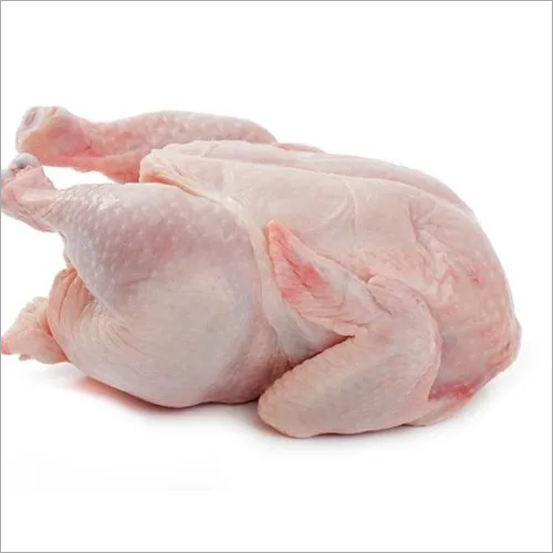 Halal Frozen Whole Chicken