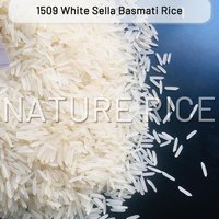 1509 Creamy Sella Basmati Rice