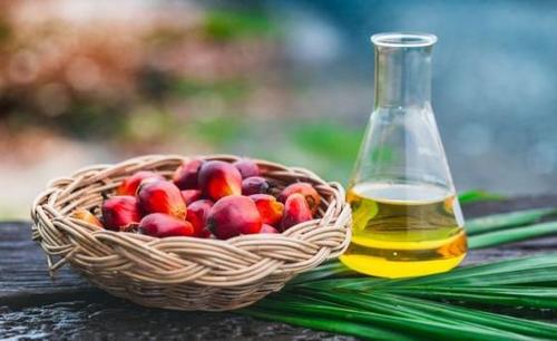 RBD Palm Olein Cooking Oil