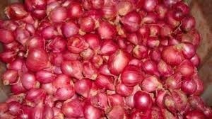 Small Onion