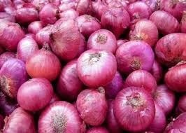 Big Onion