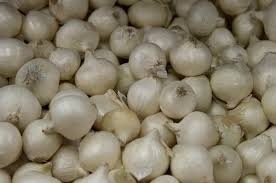 White Onion