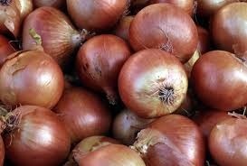 Brown Onion