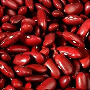Nutritious Red Kidney Beans