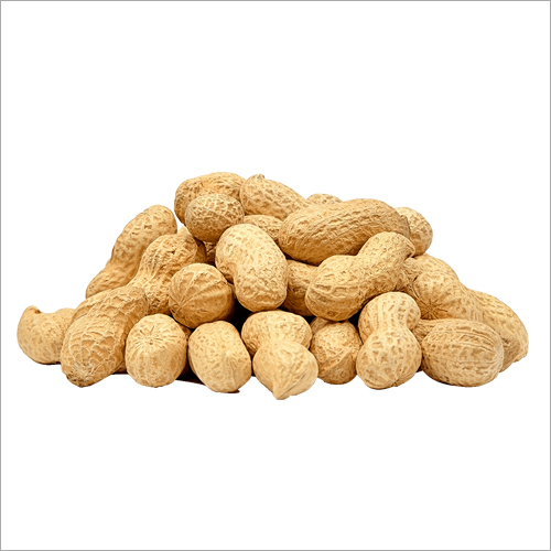 Groundnut Kernels (Tj Java) Peanuts