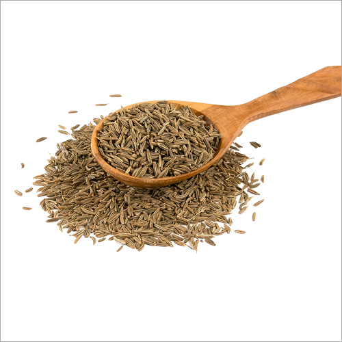 Natural Fresh Cumin Seeds