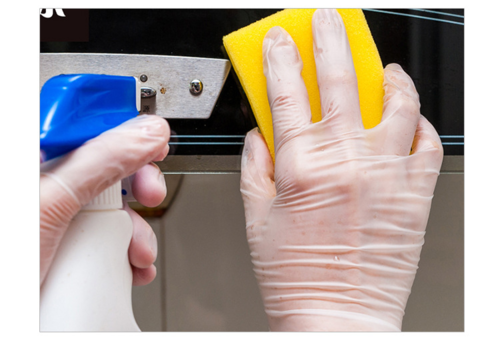 Disposable Vinyl Gloves