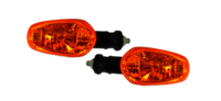 Blinker Assembly Rear