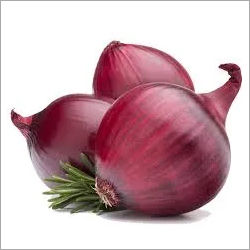 Fresh Red Onion