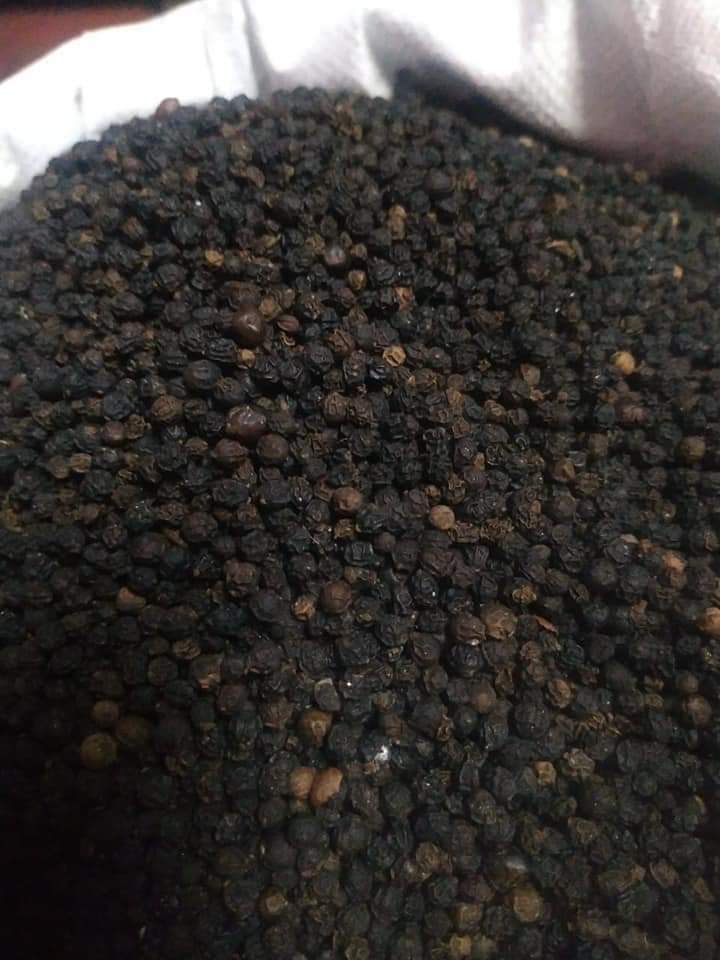 Black Pepper