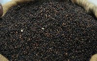 Quality Dried Black And White Pepper