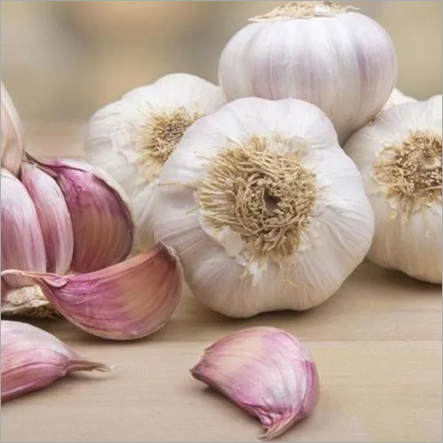 Quality Fresh Garlic