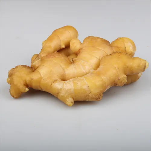 Best Quality Fresh Ginger For Sale