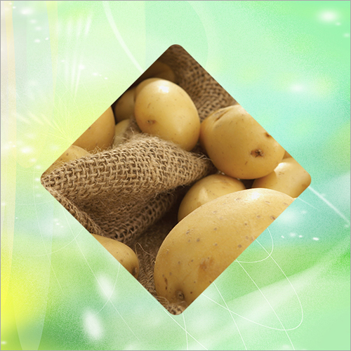 Native Potato Starch By PARS KHOOSHE PARDAZ