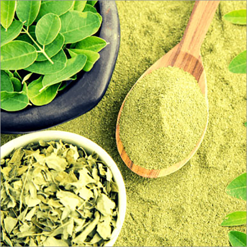 Murungai Leaf Powder
