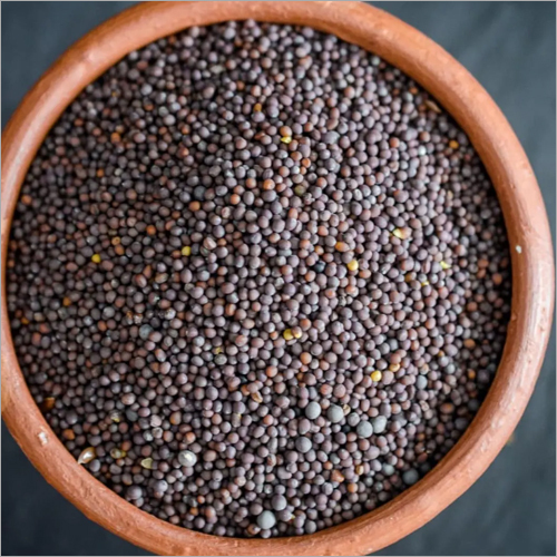 Black Mustard Seeds - Dried Grade A | Color: Black, Storage: Keep in Dry Place, Weight: As per Requirement