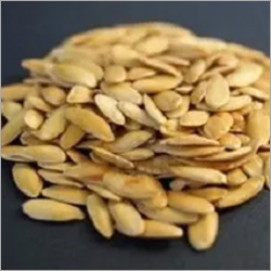 Tarbooj Seeds - Grade A, Keep in a Dry Place | Weight as per Requirement Kilograms (kg)