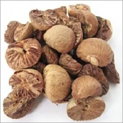 Betel Nut