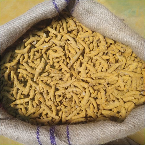Turmeric Curcuma Fingers - Yellow Color, Grade A | Product Weight as per Requirement Kilograms (kg), Store in a Dry Place
