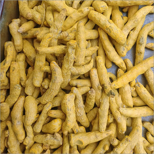Turmeric Finger - Grade A, Yellow Color, Variable Weight (kg) | Store in Dry Place, Suitable for Worldwide Export