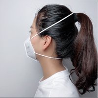 PM2.5 KN95 Dust Mask (Head Belt Type)
