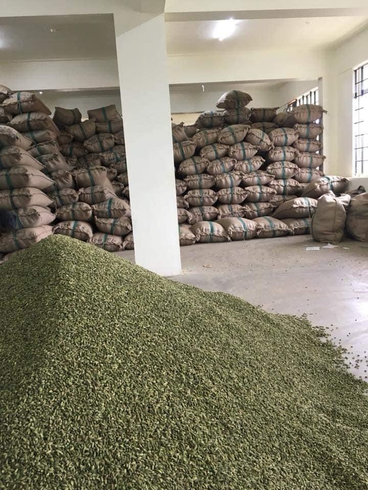 Dried Green Cardamom Spices