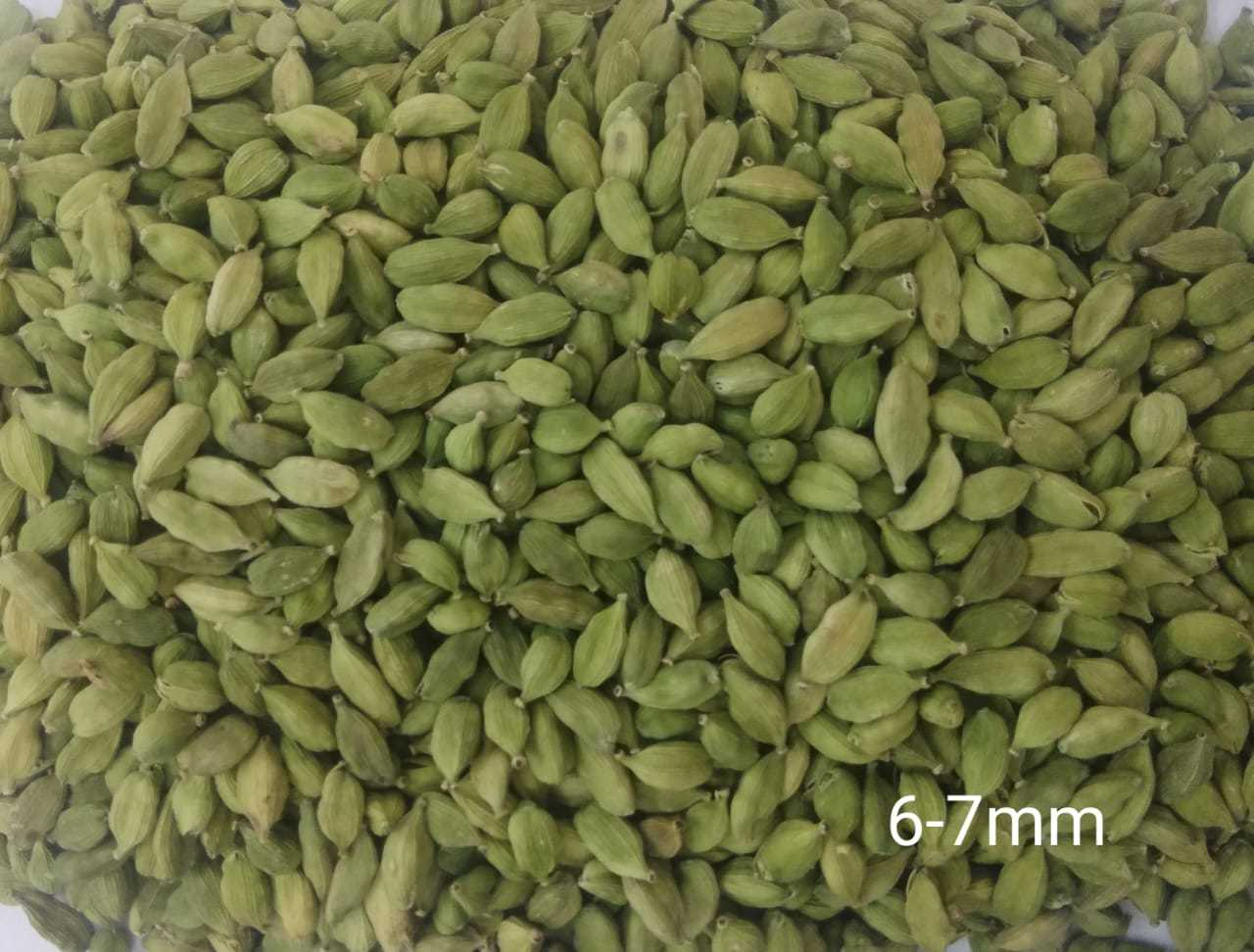 Green Cardamom new stock for sale