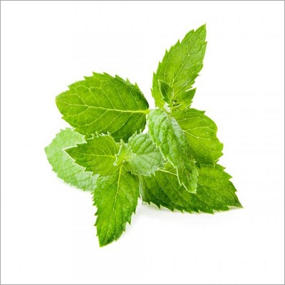 Spearmint Oil