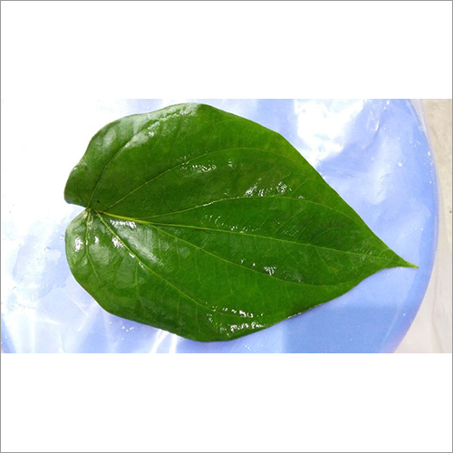 Betel Leaves